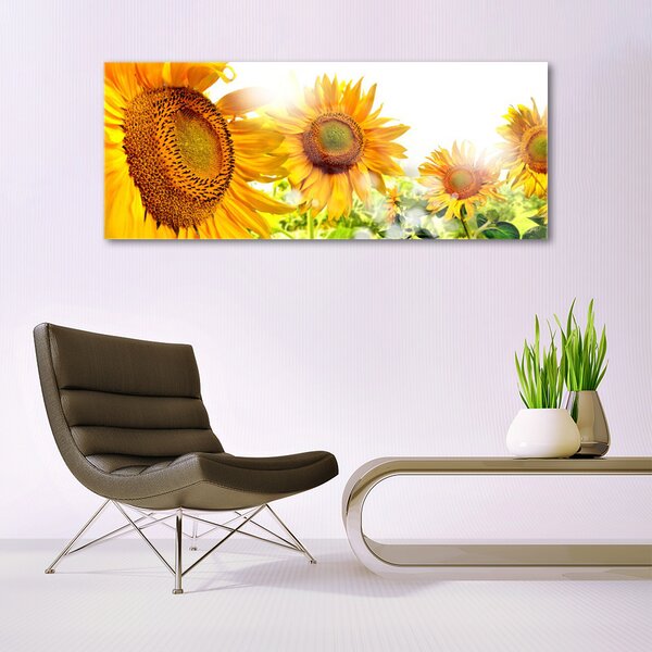 Tablou pe sticla Floarea soarelui Floral Galben Maro