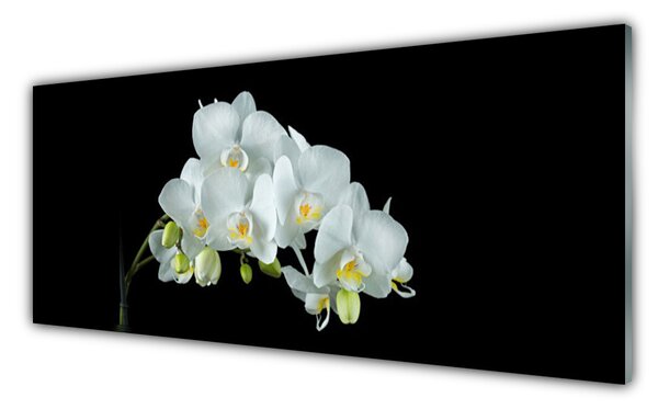 Tablou pe sticla Flori Floral alb