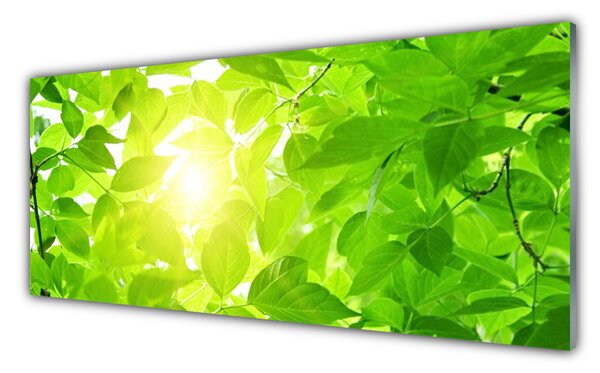 Tablou pe sticla Frunze verde florale
