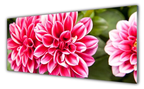 Panou sticla bucatarie Flori Floral Roșu Alb