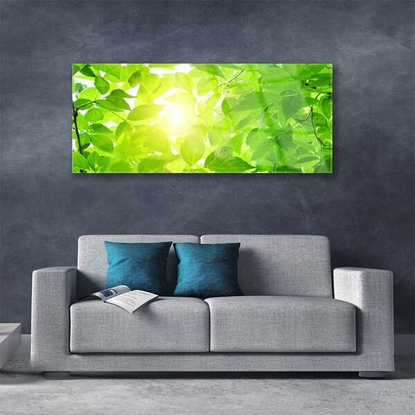Tablou pe sticla Frunze verde florale