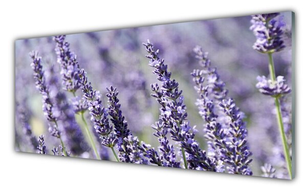 Tablou pe sticla Flori Floral violet