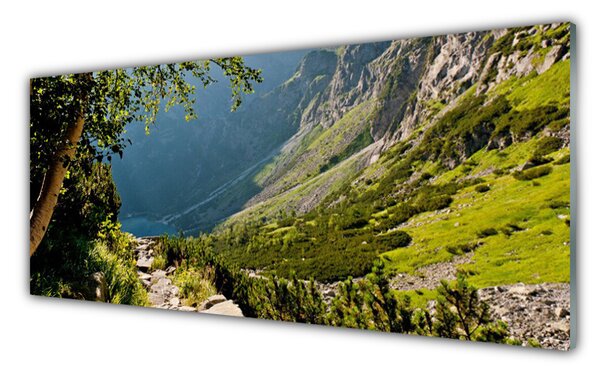 Tablou pe sticla Mountain Natural Pădurea Verde Gri