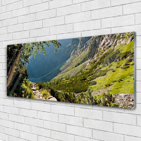 Tablou pe sticla Mountain Natural Pădurea Verde Gri
