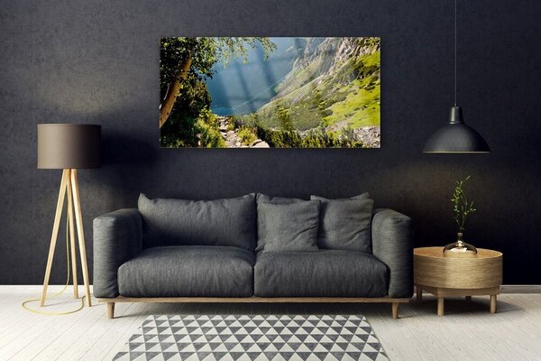 Tablou pe sticla Mountain Natural Pădurea Verde Gri