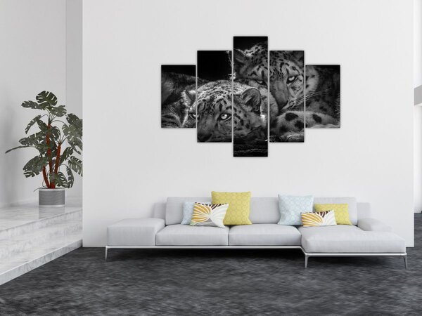 Tablou - Gheparzi care se odihnesc (150x105 cm)