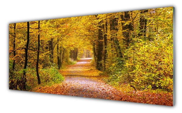 Panou sticla bucatarie Natural Pădurea Verde Maro
