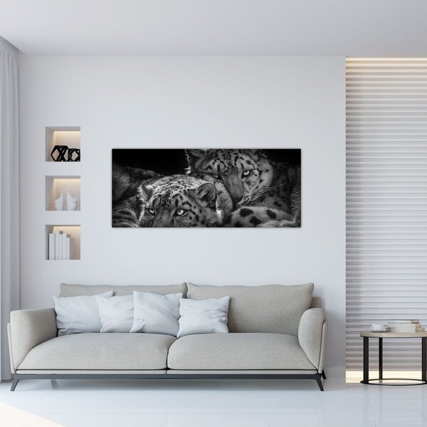 Tablou - Gheparzi care se odihnesc (120x50 cm)