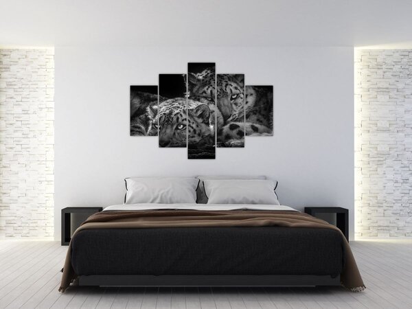 Tablou - Gheparzi care se odihnesc (150x105 cm)