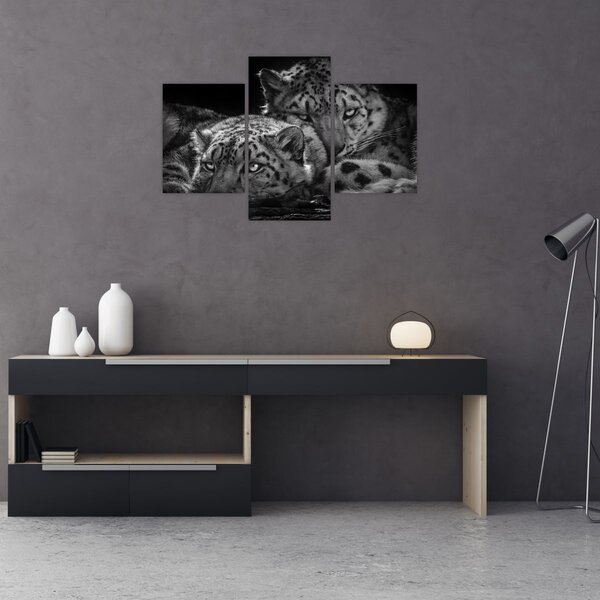 Tablou - Gheparzi care se odihnesc (90x60 cm)