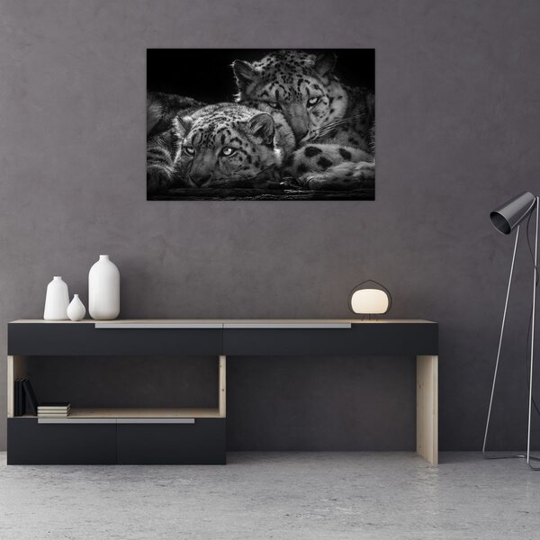 Tablou - Gheparzi care se odihnesc (90x60 cm)