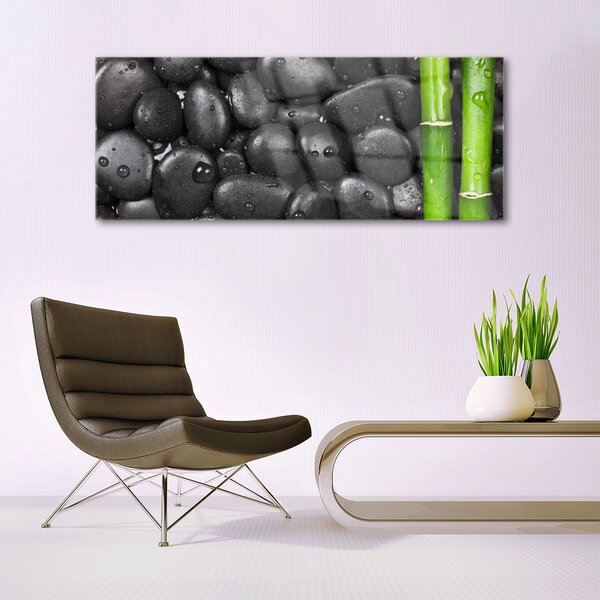 Tablou pe sticla Bamboo Stalk Stones Arta Verde Negru