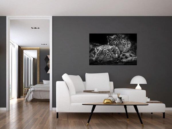 Tablou - Gheparzi care se odihnesc (90x60 cm)