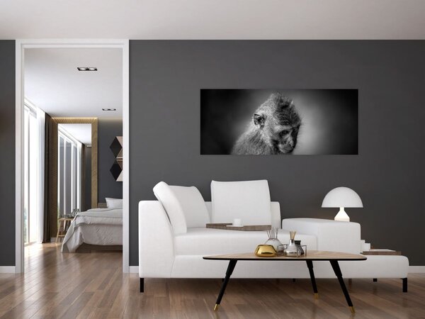 Tablou - Maimuță (120x50 cm)