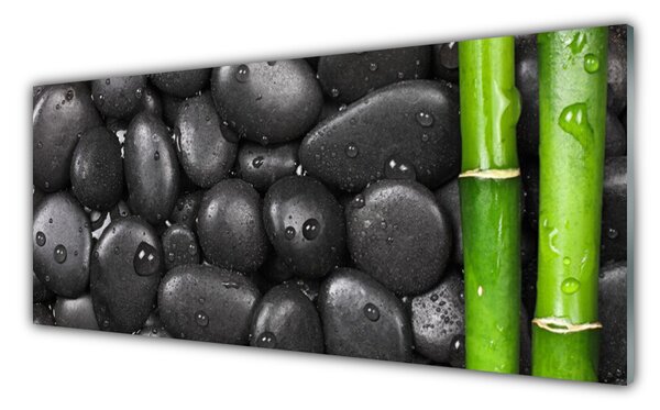 Tablou pe sticla Bamboo Stalk Stones Arta Verde Negru
