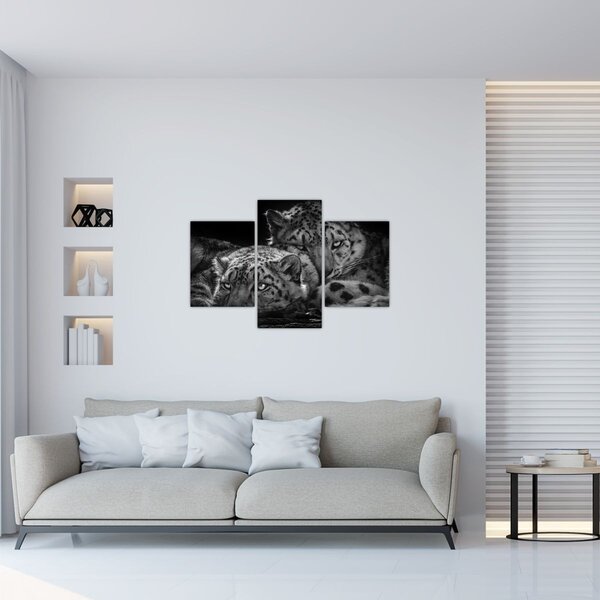 Tablou - Gheparzi care se odihnesc (90x60 cm)