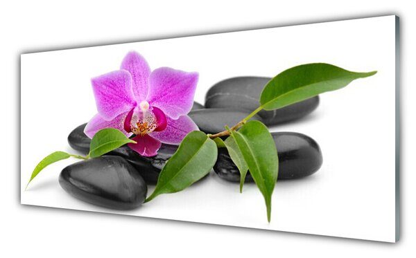Panou sticla bucatarie Pietrele de flori Arta roz negru