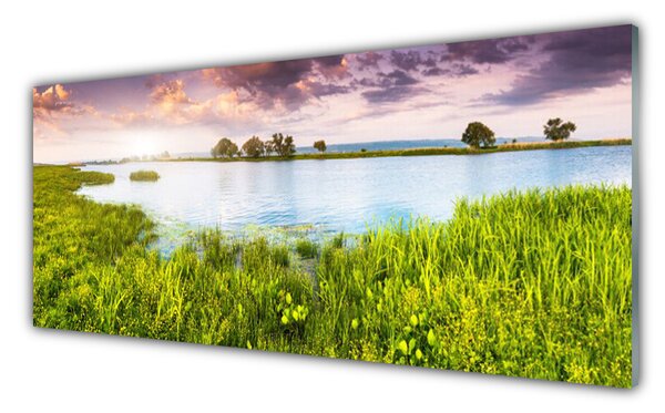 Tablou pe sticla Grass Lake Natura Verde Albastru