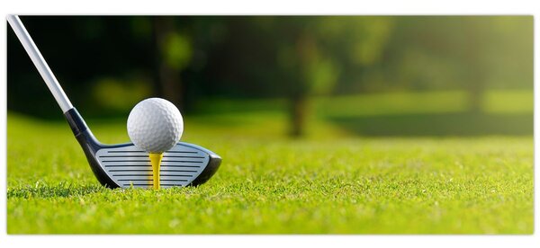 Tablou - Golf (120x50 cm)