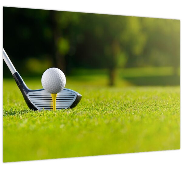 Tablou - Golf (70x50 cm)