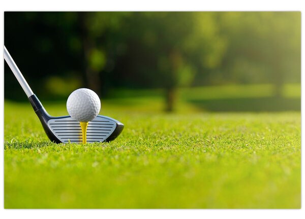 Tablou - Golf (90x60 cm)