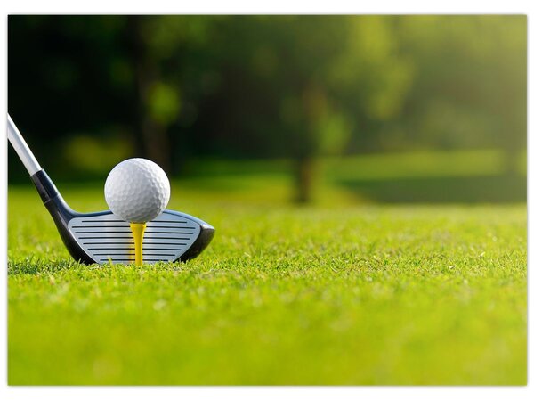 Tablou - Golf (70x50 cm)