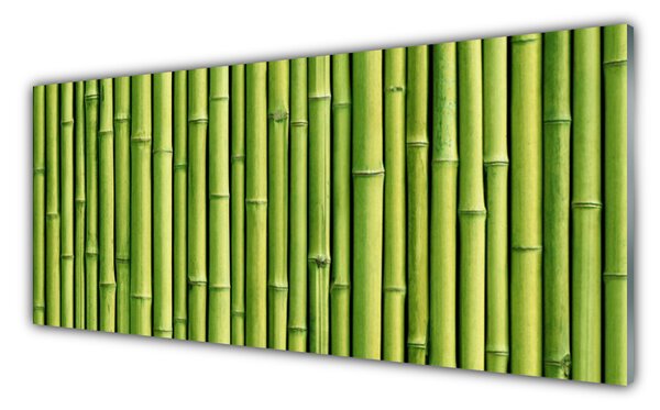 Tablou pe sticla Bamboo Canes Floral Verde