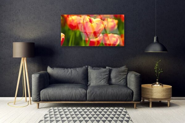 Tablou pe sticla Lalele Floral Galben Rosu