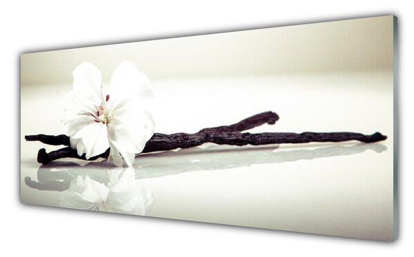 Tablou pe sticla Florale flori albe