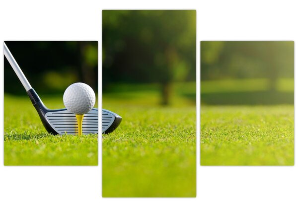 Tablou - Golf (90x60 cm)