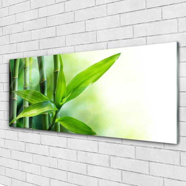 Tablou pe sticla Bamboo Canes Floral Verde