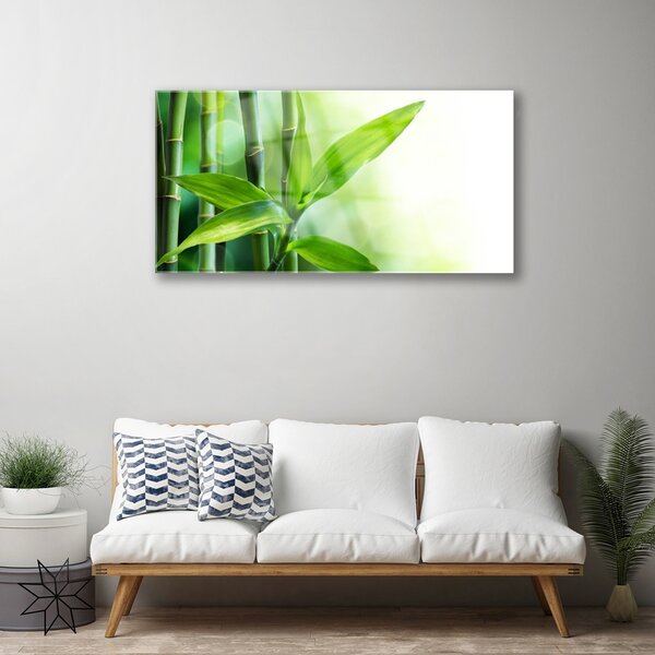 Tablou pe sticla Bamboo Canes Floral Verde