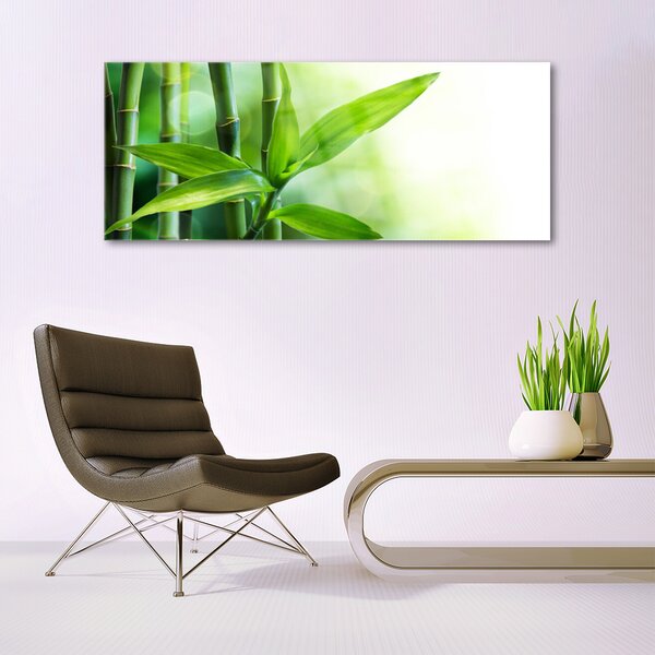 Tablou pe sticla Bamboo Canes Floral Verde