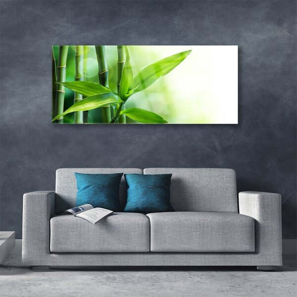 Tablou pe sticla Bamboo Canes Floral Verde