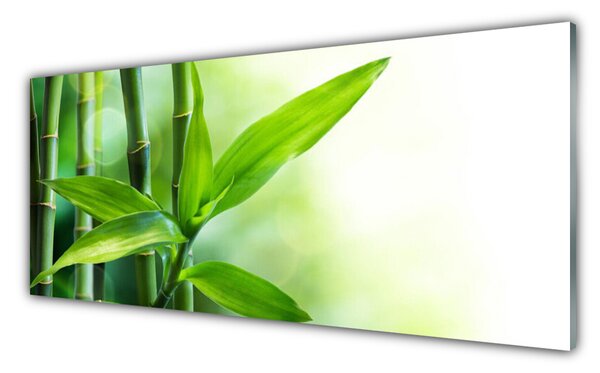 Tablou pe sticla Bamboo Canes Floral Verde