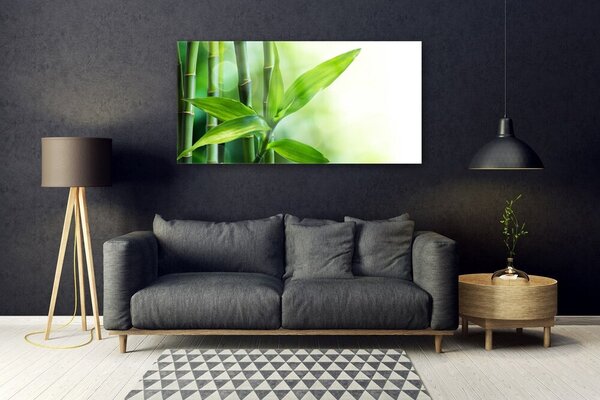 Tablou pe sticla Bamboo Canes Floral Verde