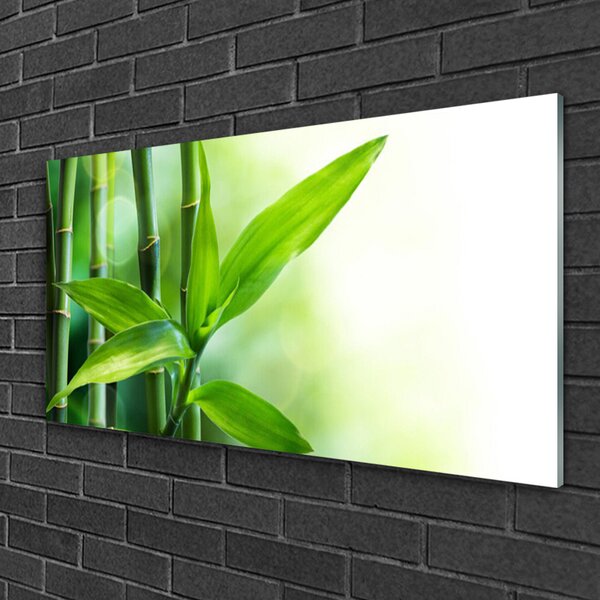 Tablou pe sticla Bamboo Canes Floral Verde