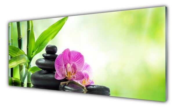Tablou pe sticla Bamboo Tub flori Stones Floral Verde Negru Roz