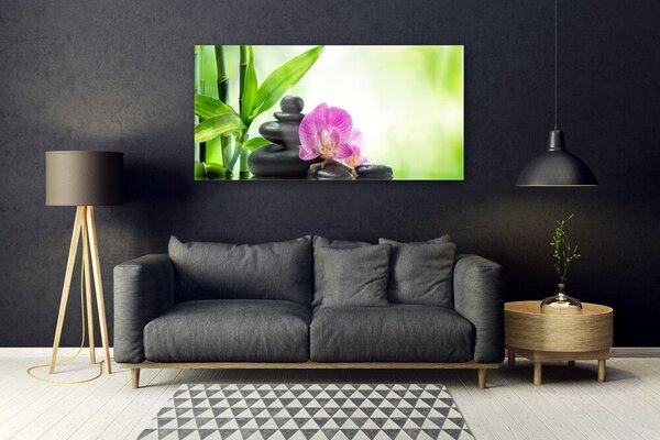 Tablou pe sticla Bamboo Tub flori Stones Floral Verde Negru Roz