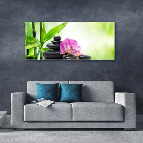 Tablou pe sticla Bamboo Tub flori Stones Floral Verde Negru Roz