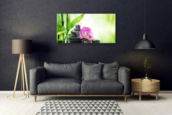 Tablou pe sticla Bamboo Tub flori Stones Floral Verde Negru Roz