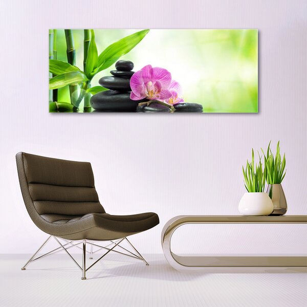 Tablou pe sticla Bamboo Tub flori Stones Floral Verde Negru Roz