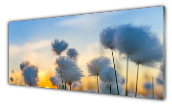 Tablou pe sticla Flori Floral alb