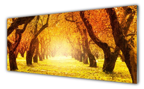 Panou sticla bucatarie Forest Potecă Natura Maro Galben