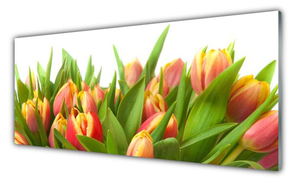 Tablou pe sticla Lalele floral galben portocaliu