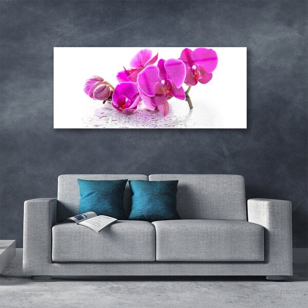 Tablou pe sticla Flori roz Floral