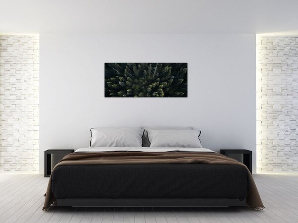 Tablou - Pădure (120x50 cm)