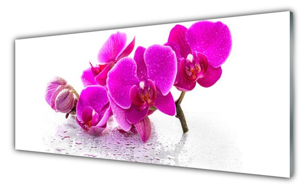 Tablou pe sticla Flori roz Floral
