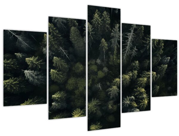 Tablou - Pădure (150x105 cm)