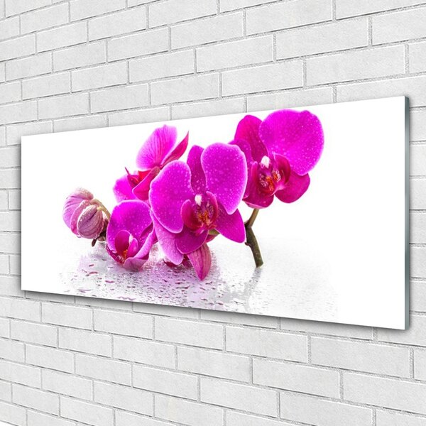 Tablou pe sticla Flori roz Floral